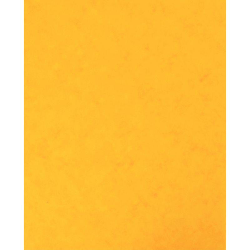 Image de  Lot de 10 protège-cahiers grands rabats en carte lustrée, pour format 17x22 cm, jaune 