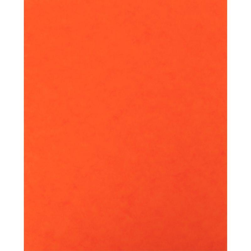 Image de  Lot de 10 protège-cahiers grands rabats en carte lustrée, pour format 17x22 cm, orange 