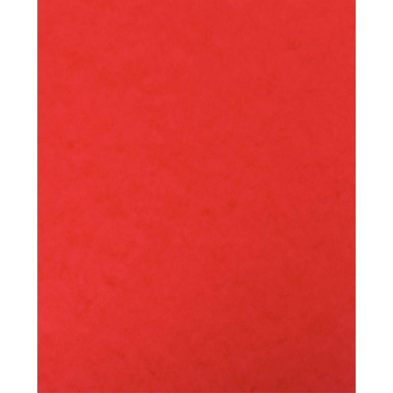 Image de  Lot de 10 protège-cahiers grands rabats en carte lustrée, pour format 17x22 cm, rouge 