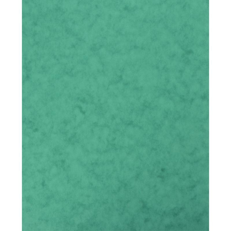 Image de  Lot de 10 protège-cahiers grands rabats en carte lustrée, pour format 17x22 cm, vert 