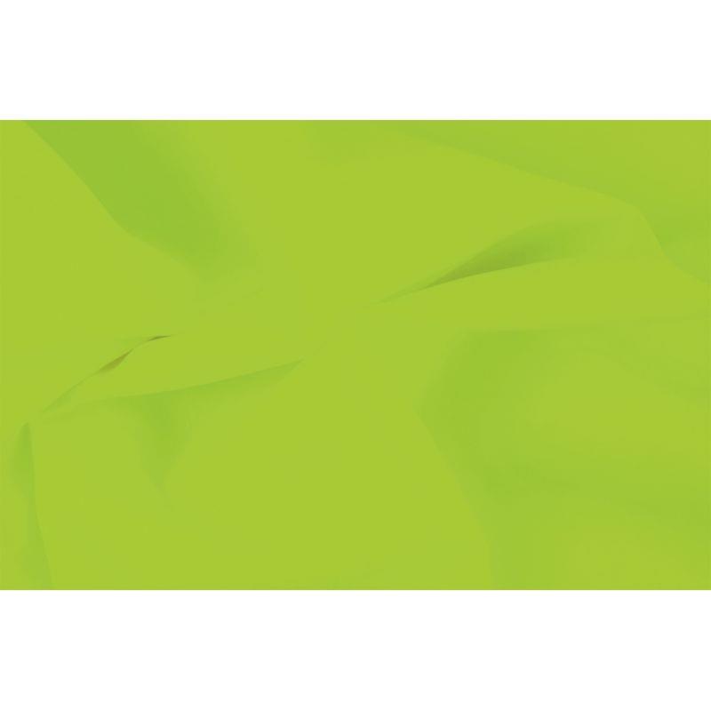 Ref. 57158, Paquet de 240 feuilles de papier de soie 75x50cm Vert, marque N.C