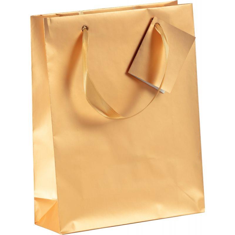 Ref. 58650, Lot de 5 sacs cadeau 17x6x22cm coloris or, Or/Argent, marque CLAIREFONTAINE