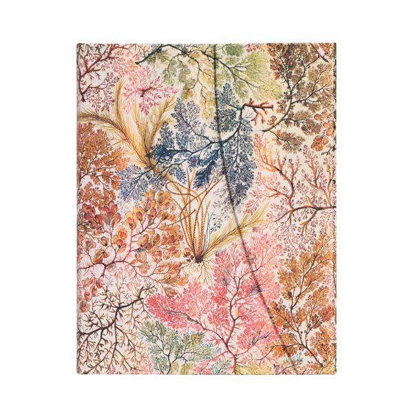 Ref. 9781439772270, Carnet rigide Anémone - Ultra - Ligné - 144 pages, marque PAPERBLANKS