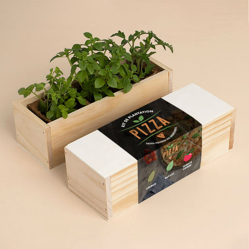 Ref. RESFRST063, Kit d’Auto-culture Pizza (origan, basilic et tomate cerise) (français), marque RESETEA